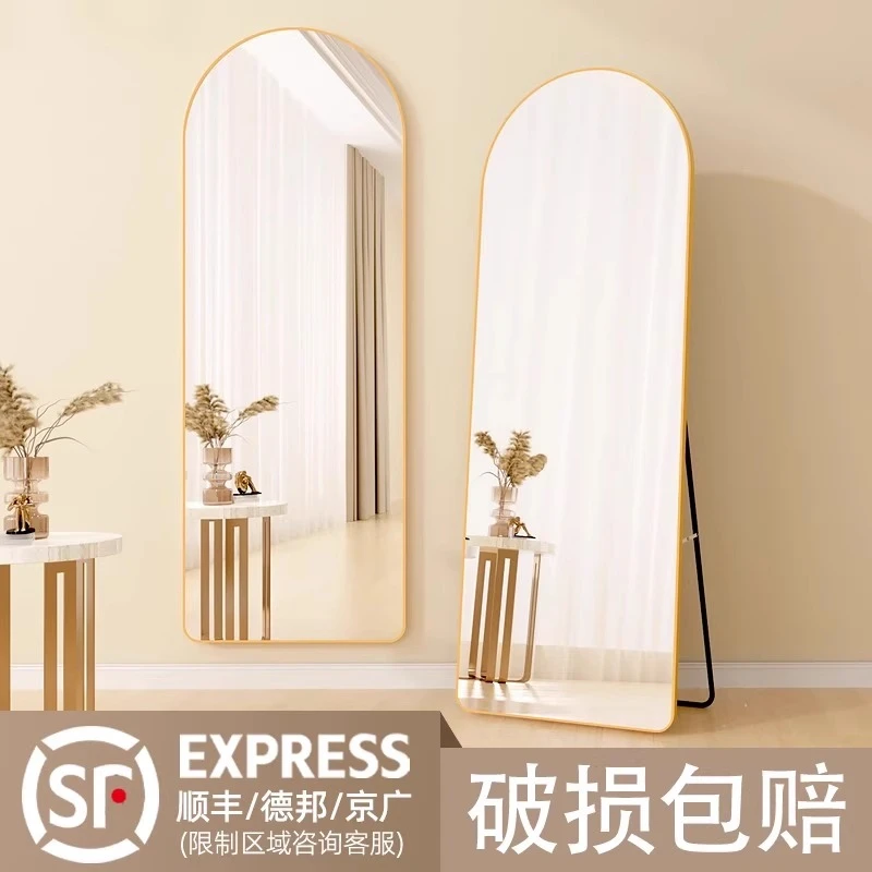 家用全身镜子轻奢异形网红全身镜女生卧室壁挂式穿衣镜家用试衣镜