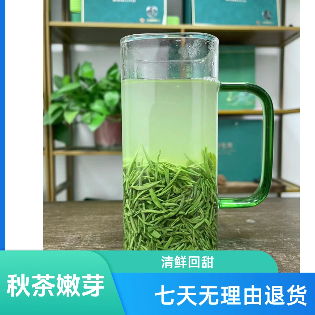 (秋茶嫩芽)中秋福利2025新茶信阳绿茶毛尖纯手工制作