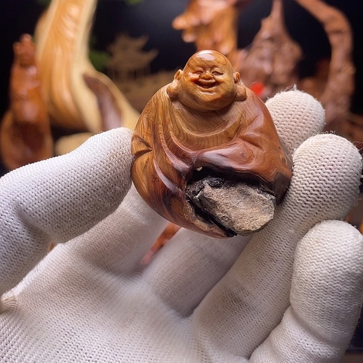 柏木（崖柏）333333333333333