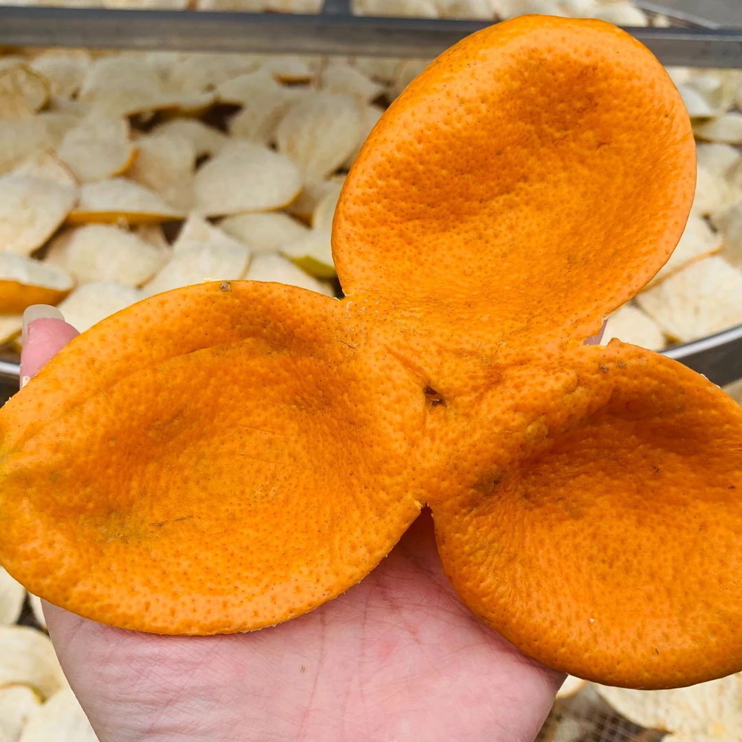 老广老皮 2025年东甲冬后［精品大果王］