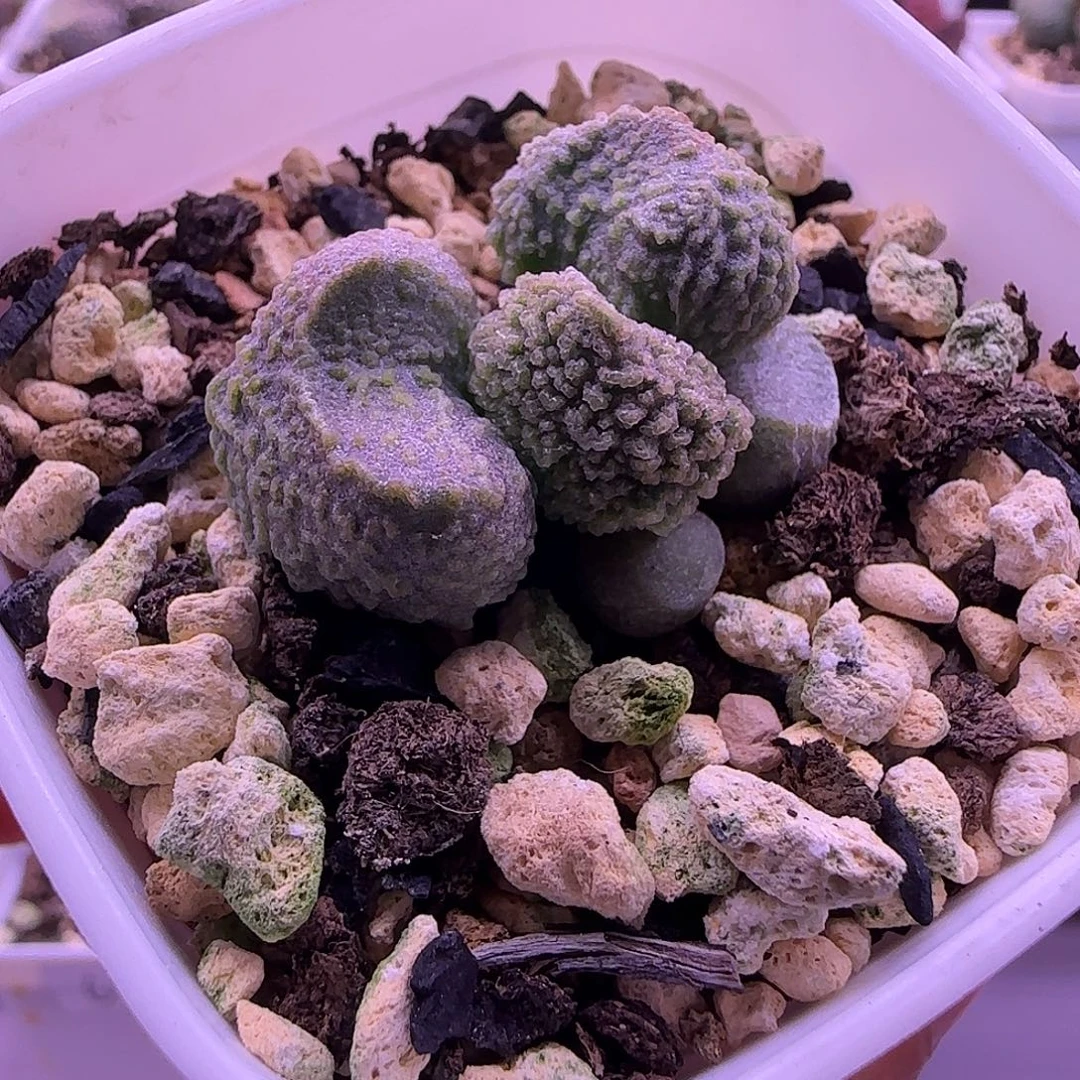 特价新品，一物一拍