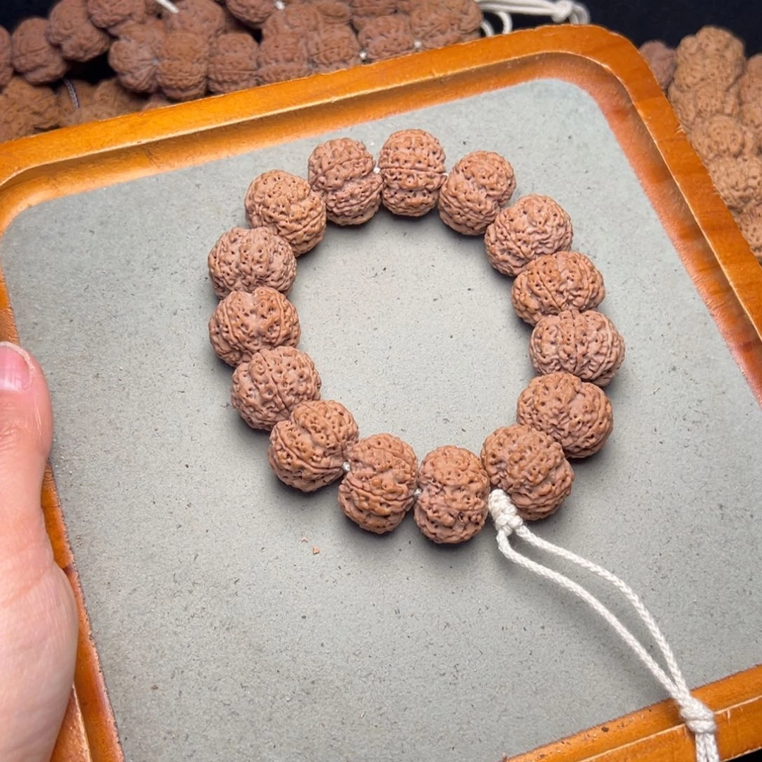 菩提28号金刚菩提六瓣23