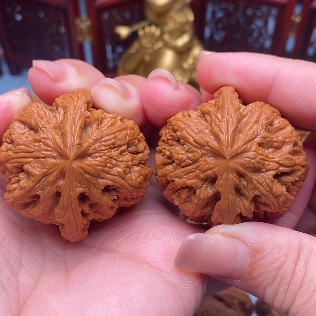 文玩核桃把件43.5全品毕业粗筋