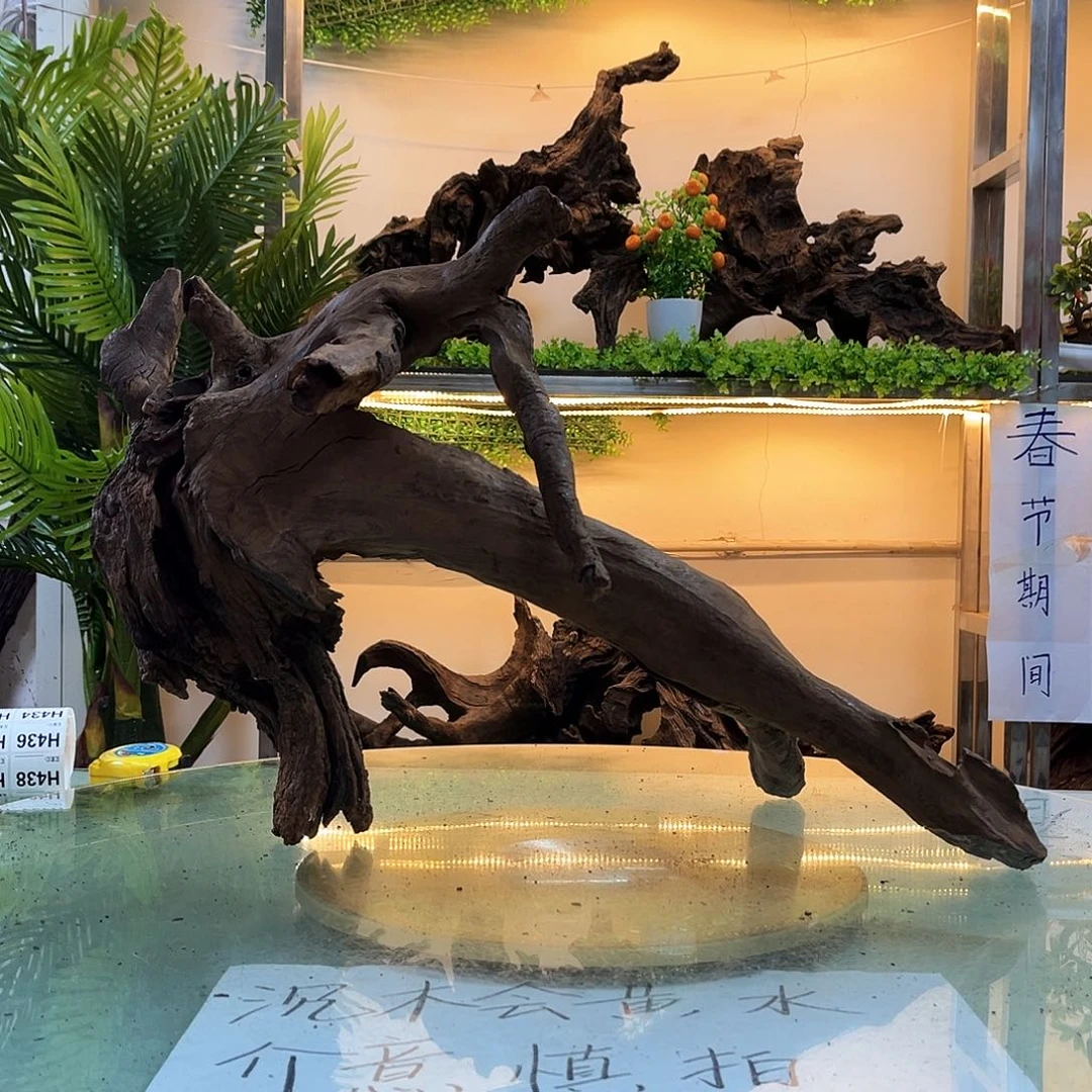 柚木沉木鱼缸造景