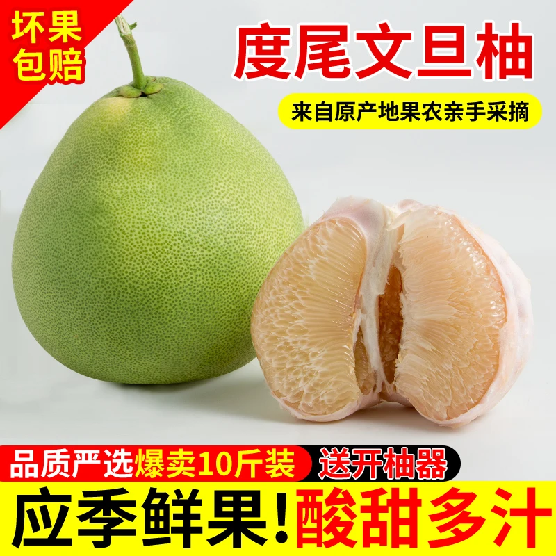 【现买现摘】正宗福建仙游度尾文旦柚红心柚当季现摘孕妇新鲜水果