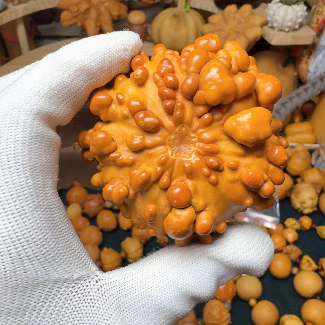 A**A特价葫芦不退不换