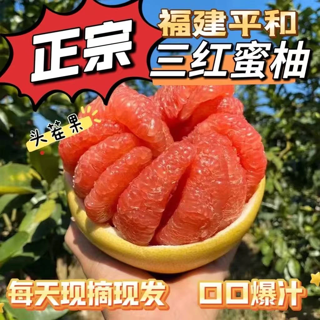 正宗福建平和老树头茬红心蜜柚当季新鲜水果皮薄鲜嫩多汁