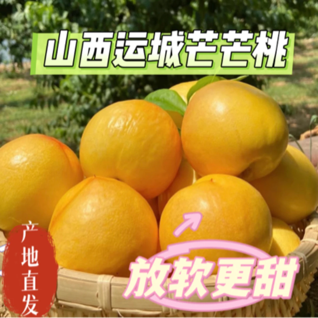 【坏果包赔】山西-芒芒桃-黄金油桃 新鲜现摘放软更甜当季鲜果