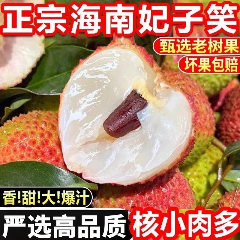 【冷链包邮】新鲜妃子笑荔枝水果酸甜多汁水饱满爽口原产地发ZH