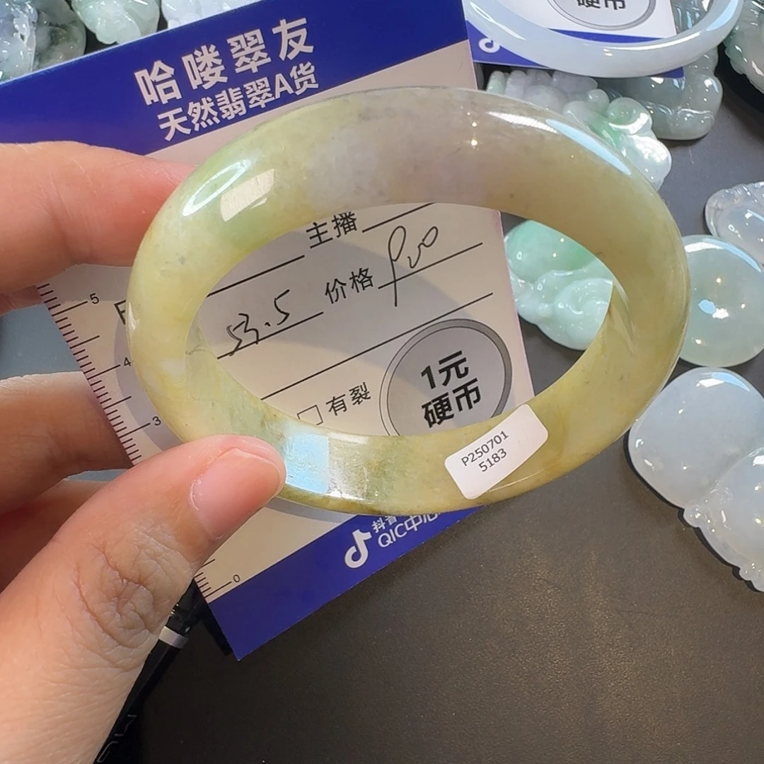 雯***栈未镶嵌手镯翡翠手镯