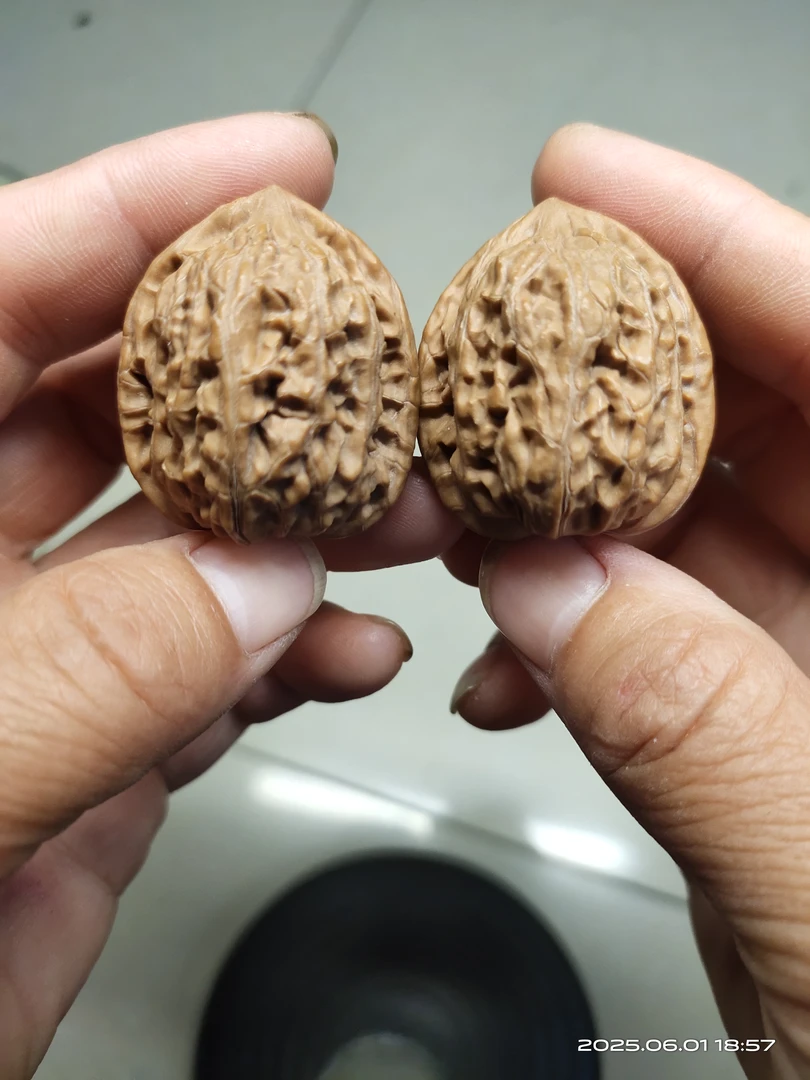 31尺小众文玩核桃