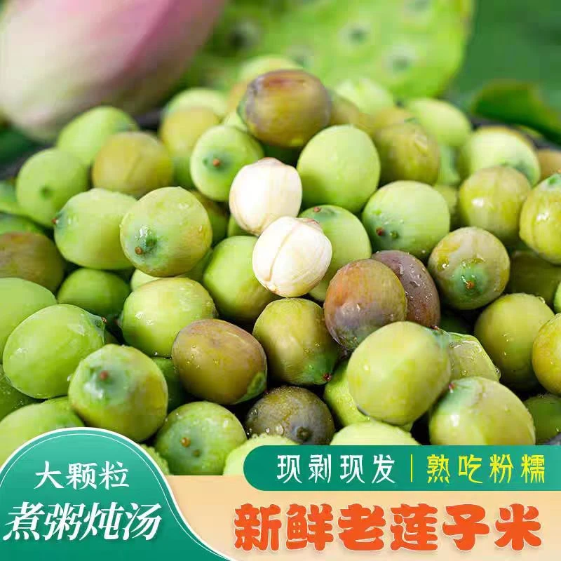 新鲜老莲子米 现剥现发老莲子可煮粥可煲汤粉糯香甜【顺丰包邮】