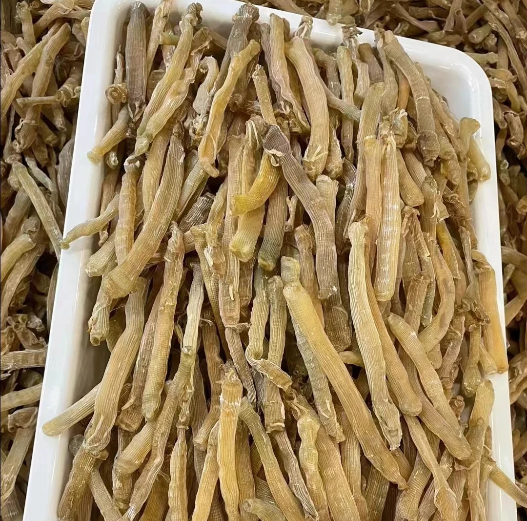 大沙虫干煲汤煲粥传递炒粗盐天麻佳品味道鲜甜北海沙虫干市场