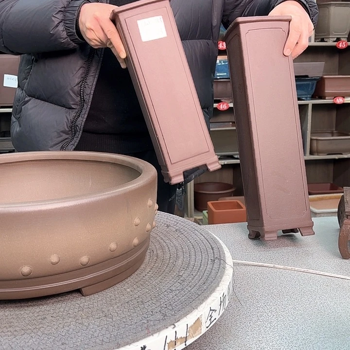 紫砂花盆5*紫砂的花也太