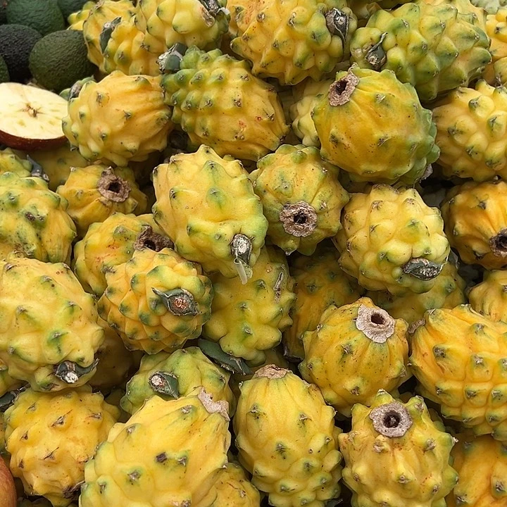 中国大陆燕窝果3斤