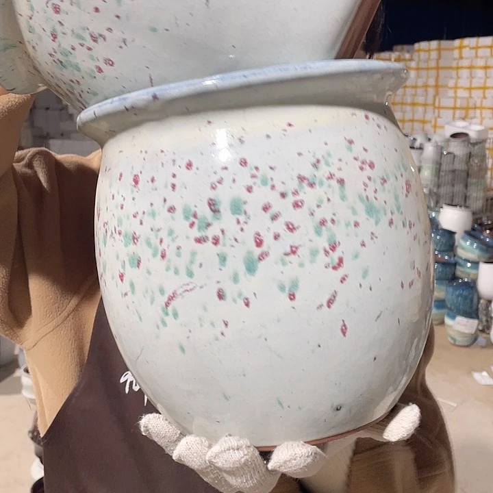 正品两个20/20系列