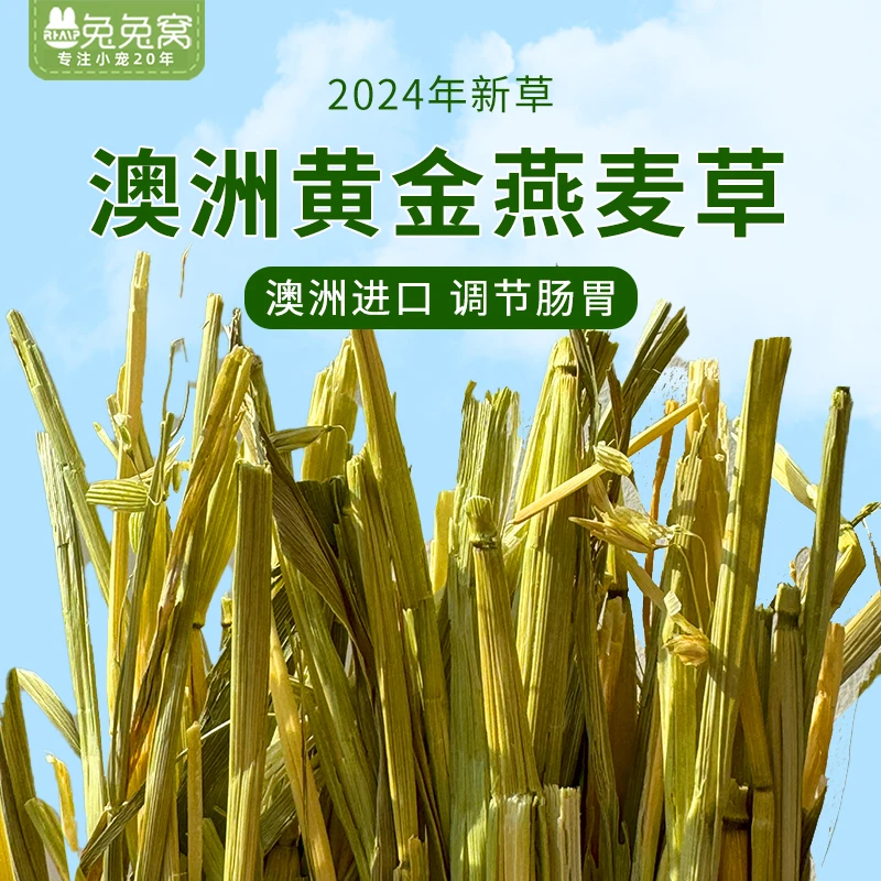 澳洲黄金燕麦草晒干牧草手工精筛低粉高纤龙猫豚鼠饲料 兔子草粮