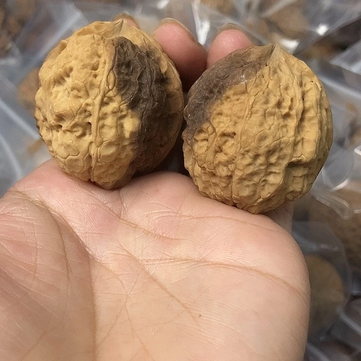 文玩核桃把件云南铁核桃基地6