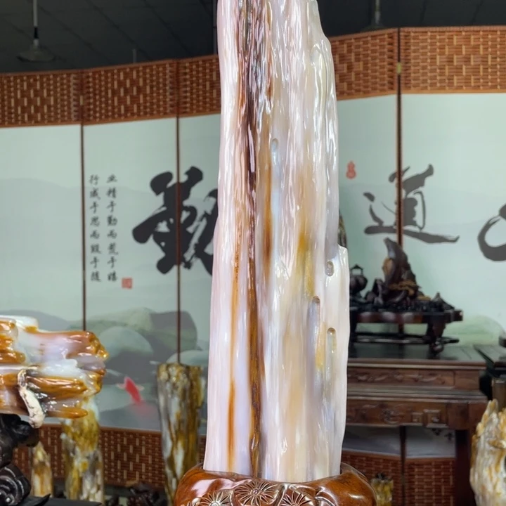 硅化玉未镶嵌珠宝奇石高46