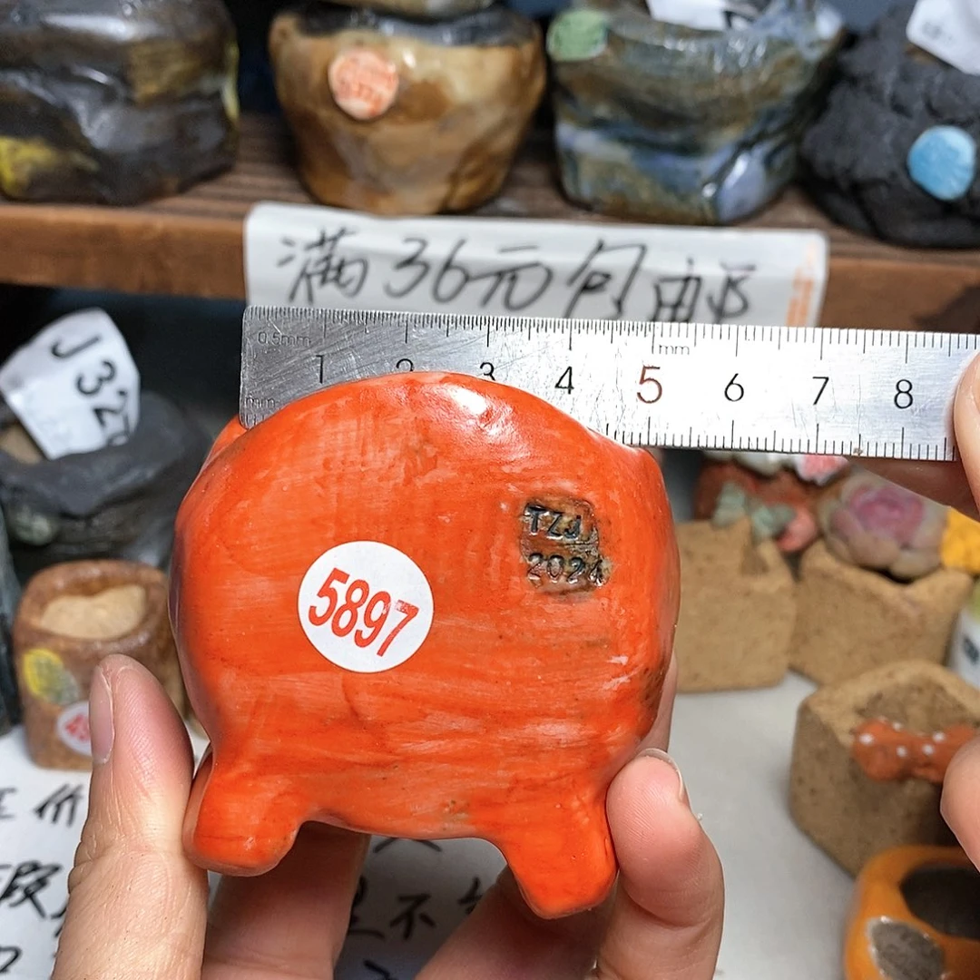 红陶拍5送一个小