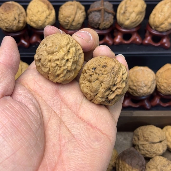 核桃铁核桃金玉葡萄15