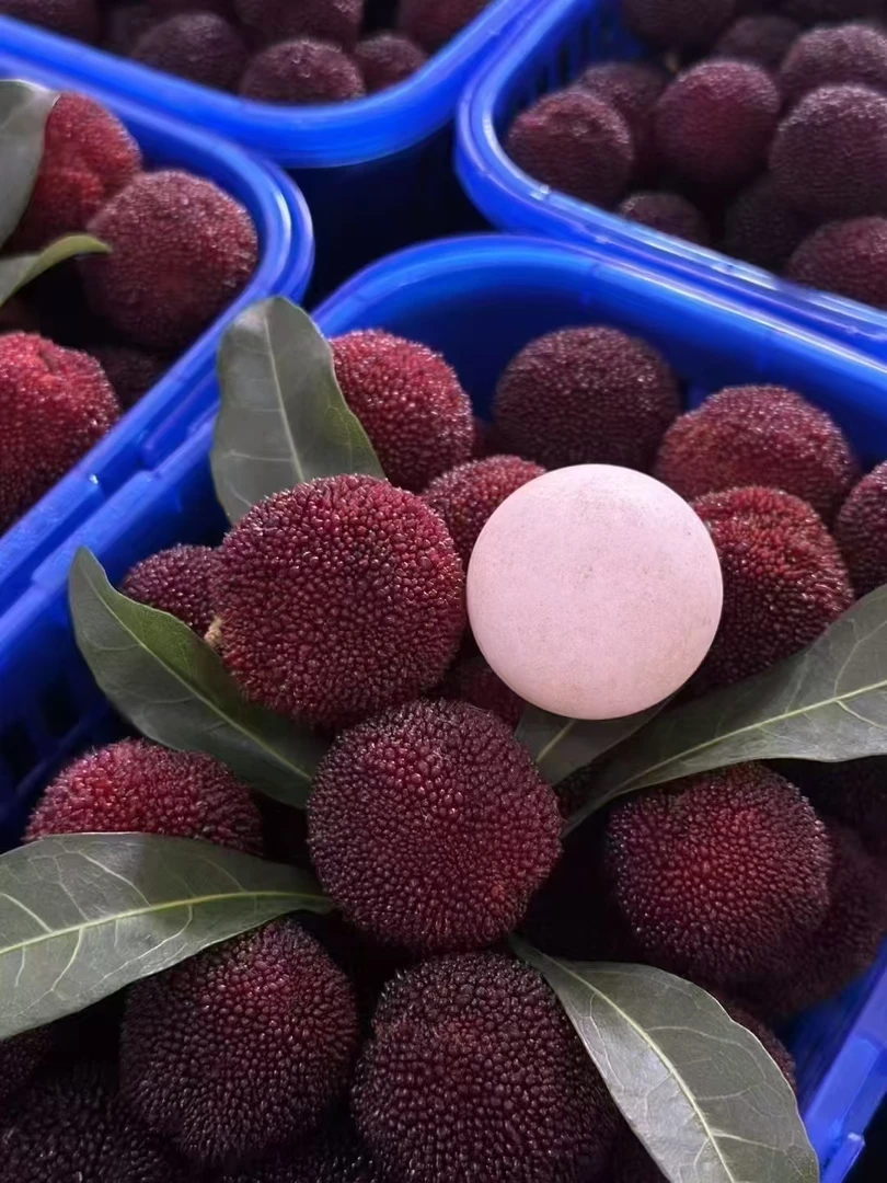 仙居东魁杨梅现摘现发顺丰包邮新鲜时令水果整箱冷链