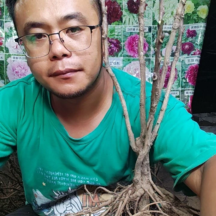 无花朵岛津.......
