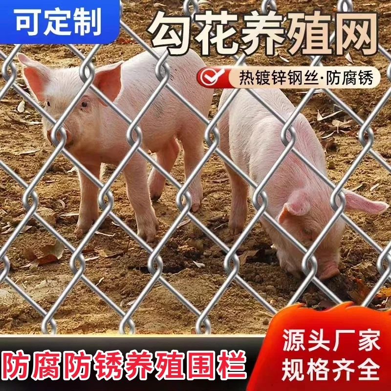 热镀锌铁丝网围栏网养鸡狗养殖网勾花网钢丝网户外防锈防护网网格