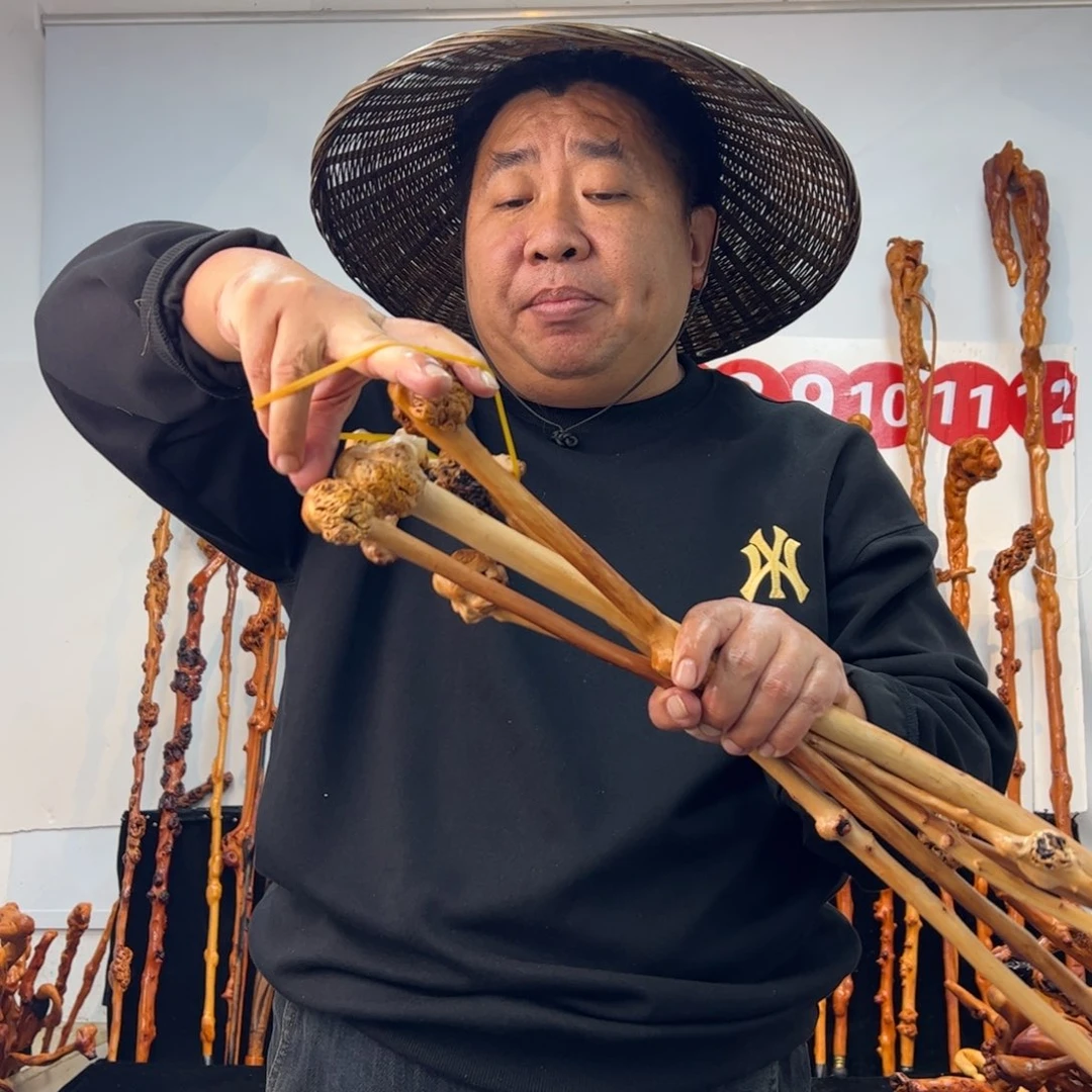 黑果木其他黑果木220