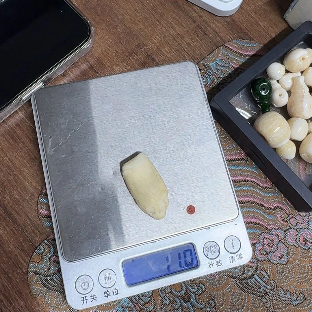 琉璃/树脂/塑料类胖臼齿