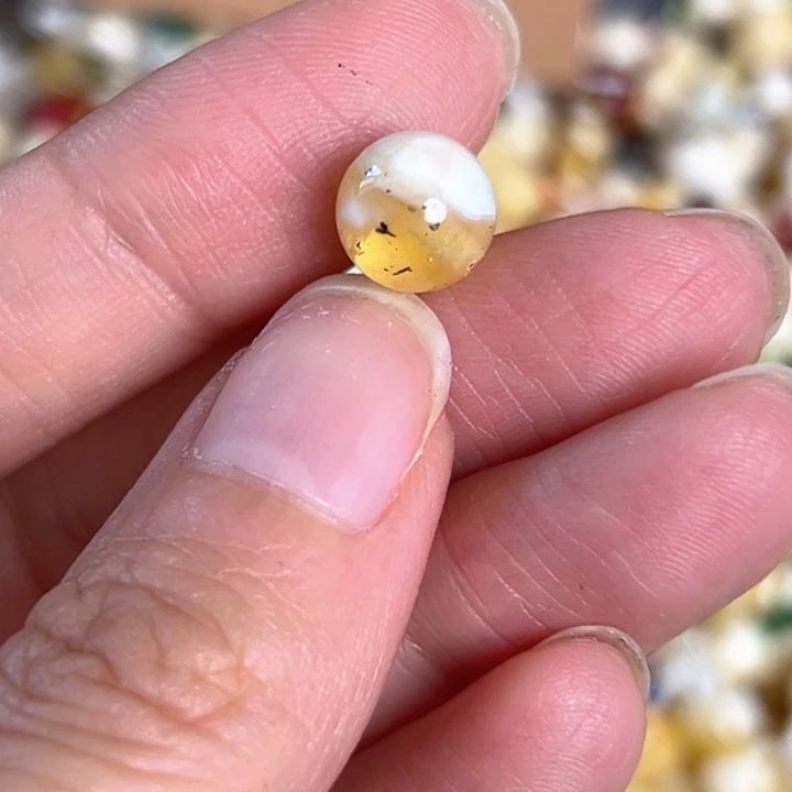 未镶嵌蜜蜡裸石8.9mm一个