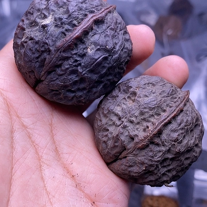 文玩核桃把件   223