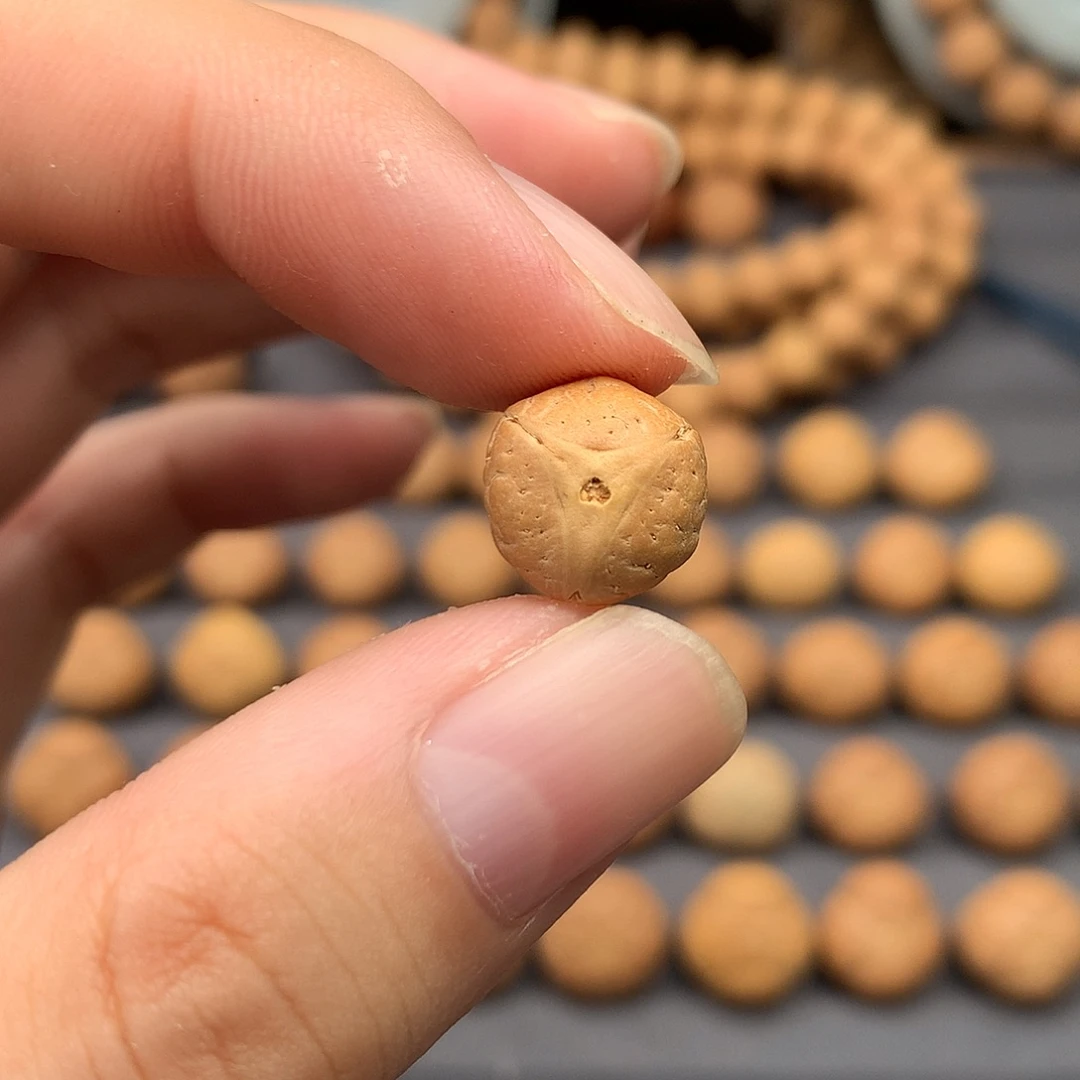 吊坠凤眼菩提11尺寸实心龙顶朱