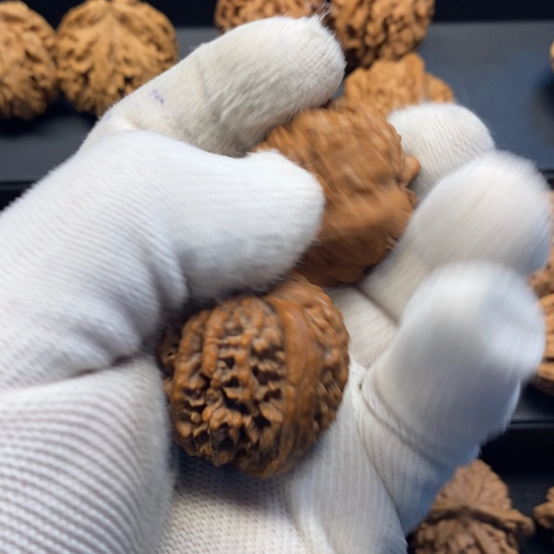 秦岭森林中发现两条