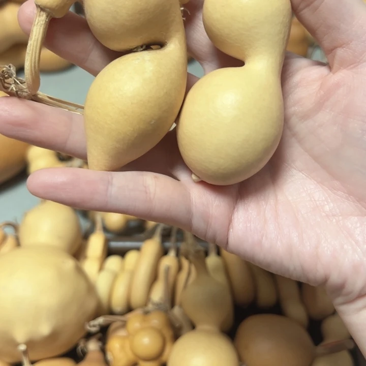 邯***心葫芦葫芦葫芦葫芦好