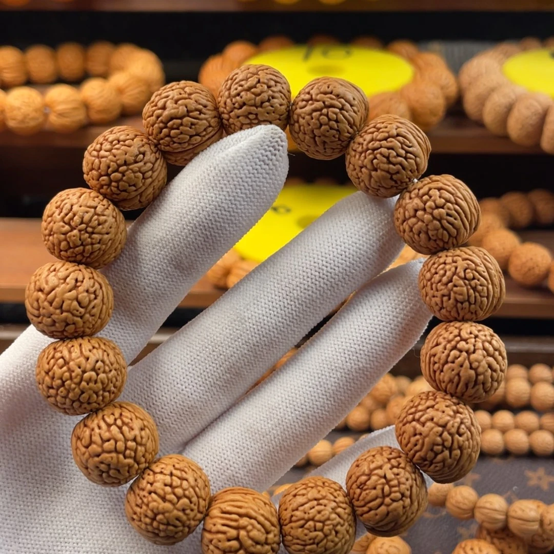 吊坠桃核野生宽脐蚂蚁