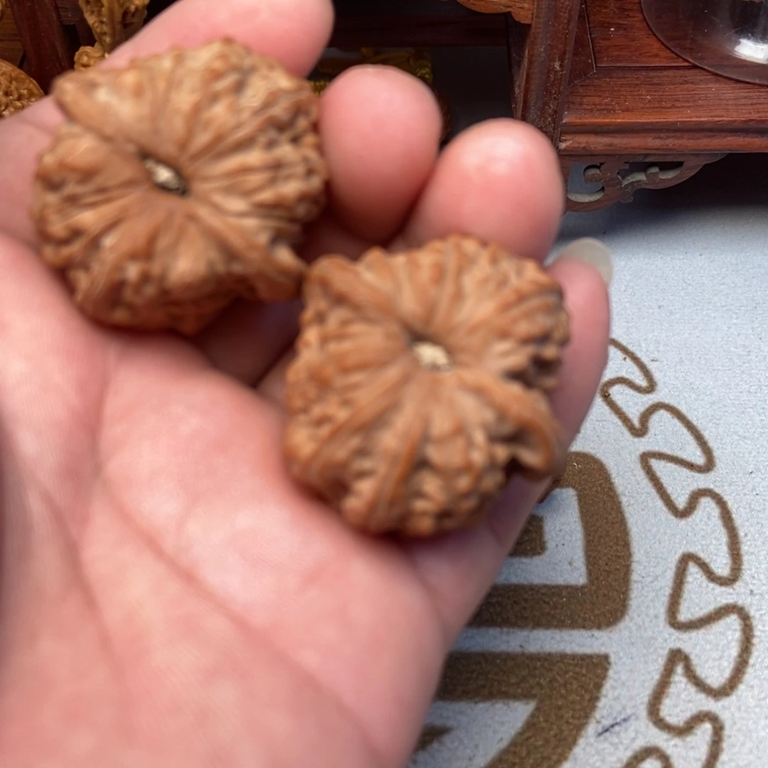 大叶紫檀（黑酸枝木类）