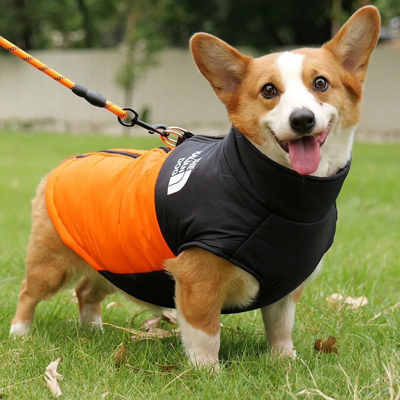 可牵引狗狗衣服秋冬款棉服中大型犬柴犬柯基冬季保暖狗面棉衣马甲