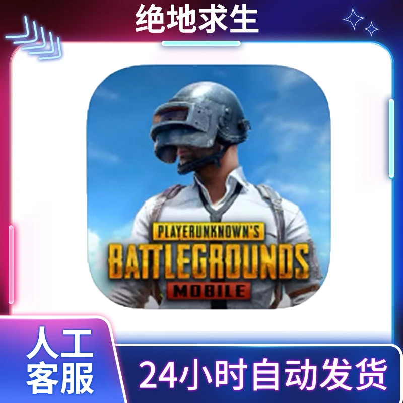 pubg 国际服 绝地求生 刺激战场 游戏安装服务