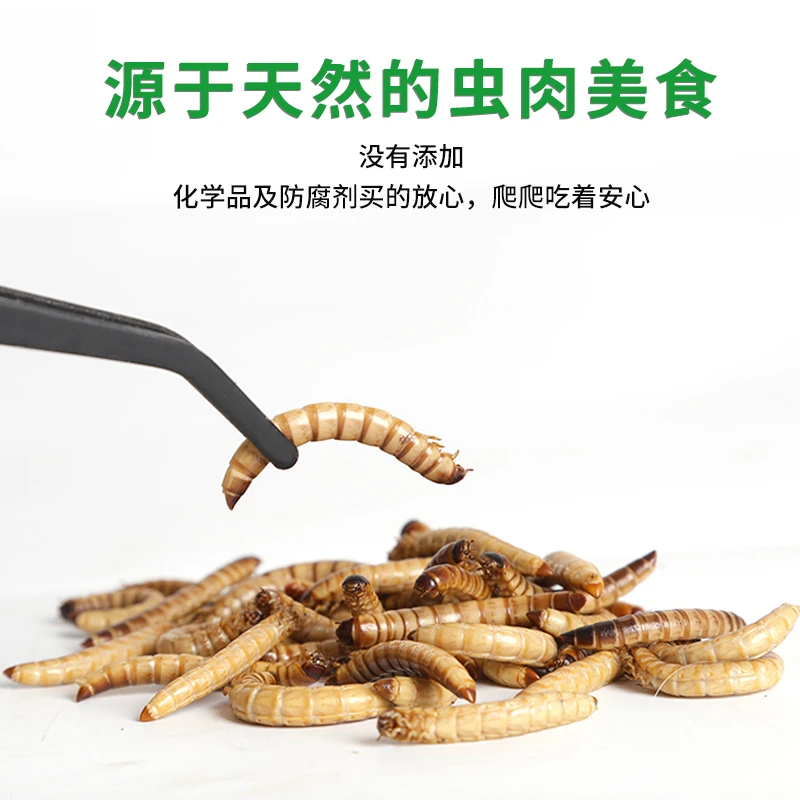 爬虫蛙鱼类食品保鲜虫大麦虫守宫冻干饲料（1包）
