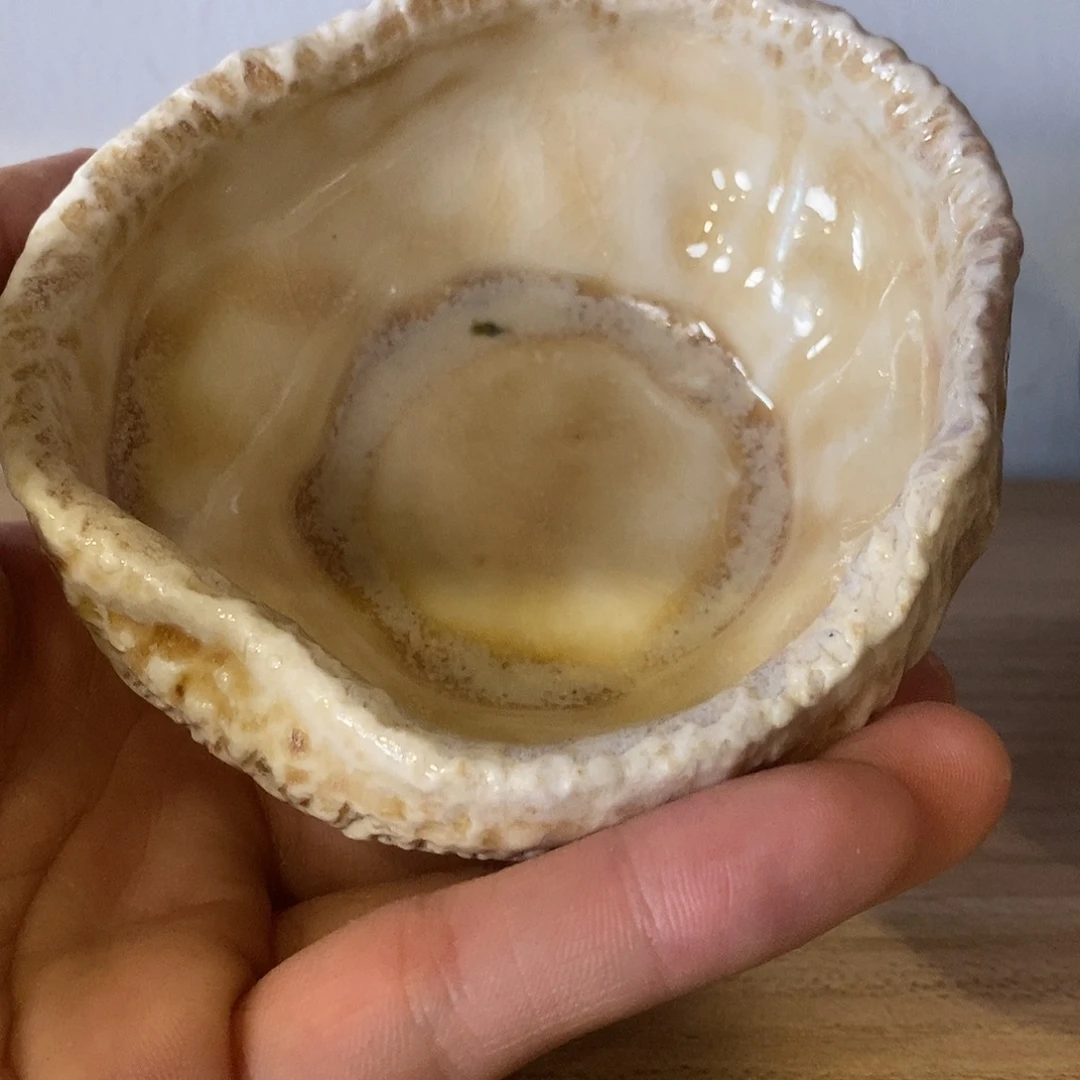 茶杯紫砂紫砂艺术艺术学院
