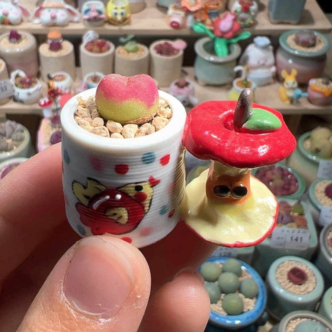 多肉植物183号拇指盆