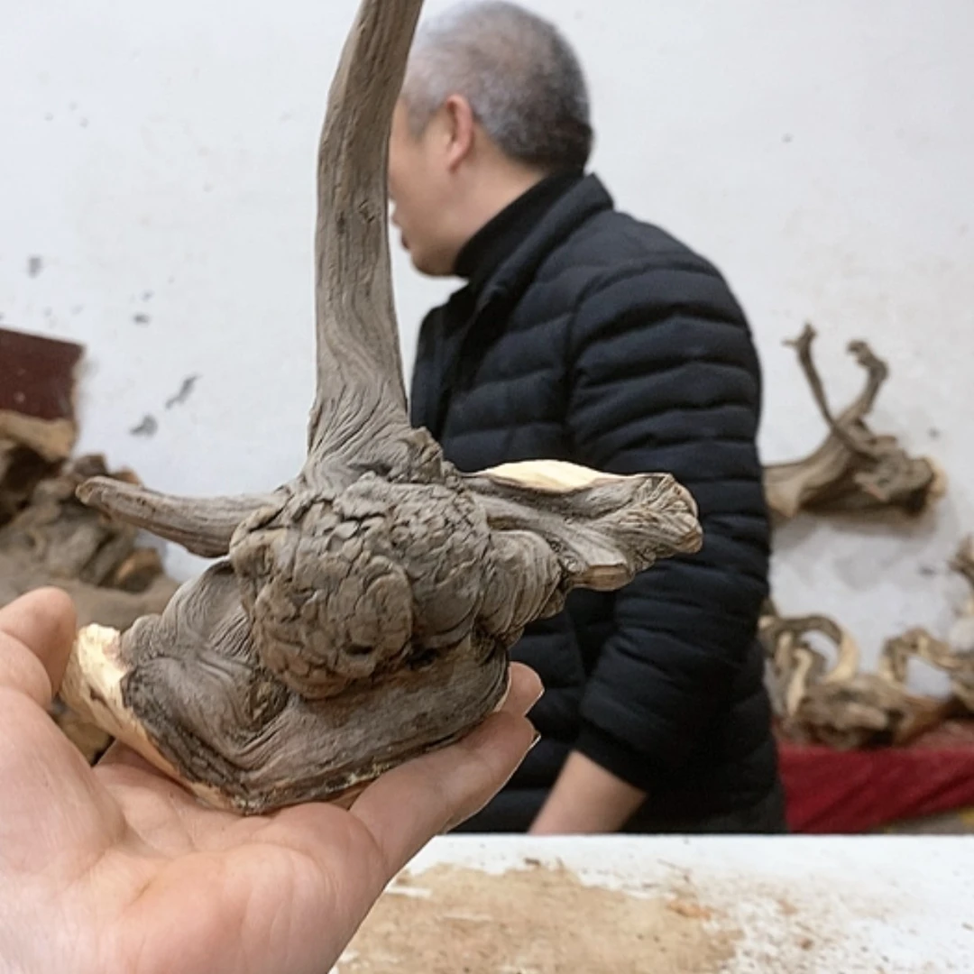 【闪购商品】柏木叼*我们都是好孩子