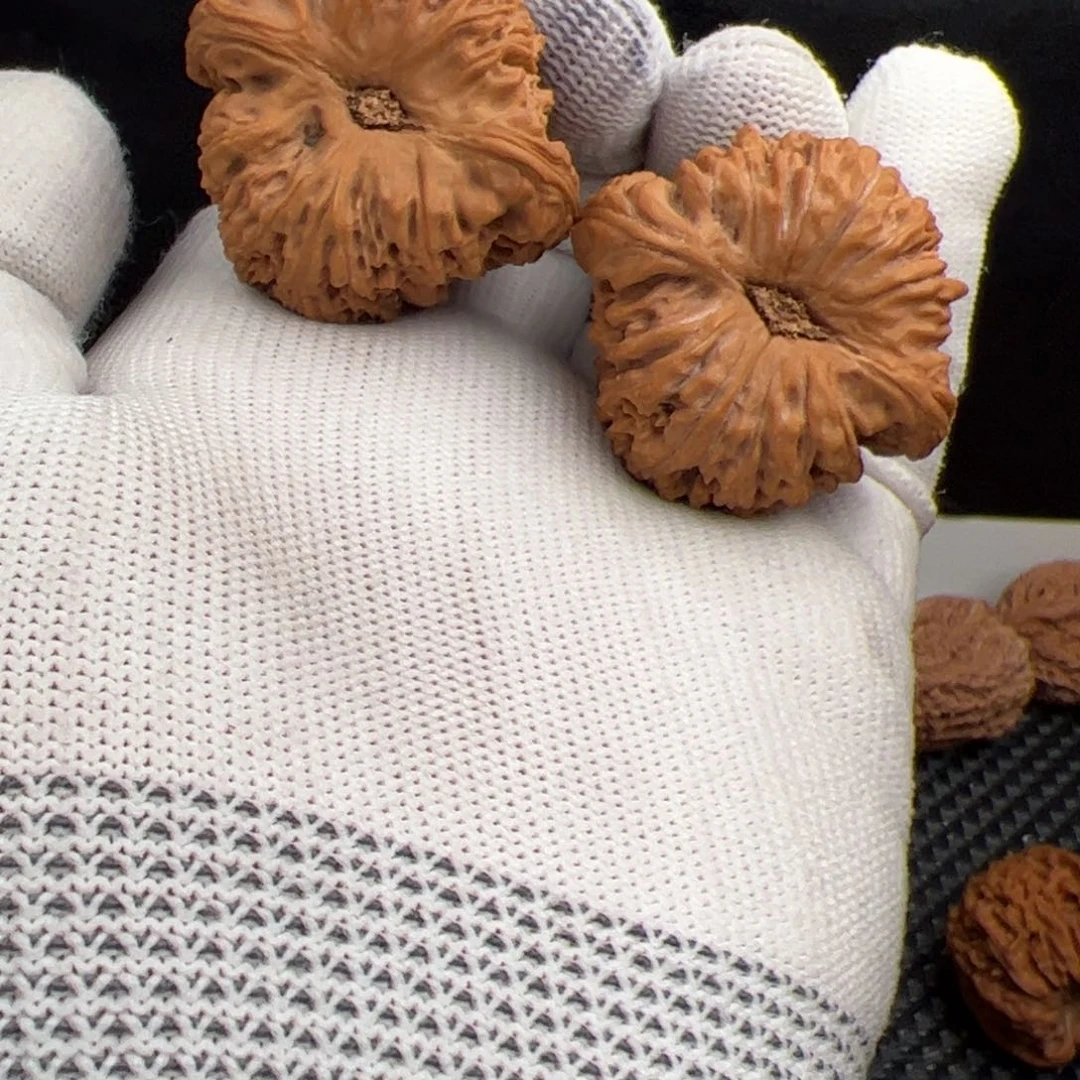 核桃手串/手链会**鱼南疆核桃