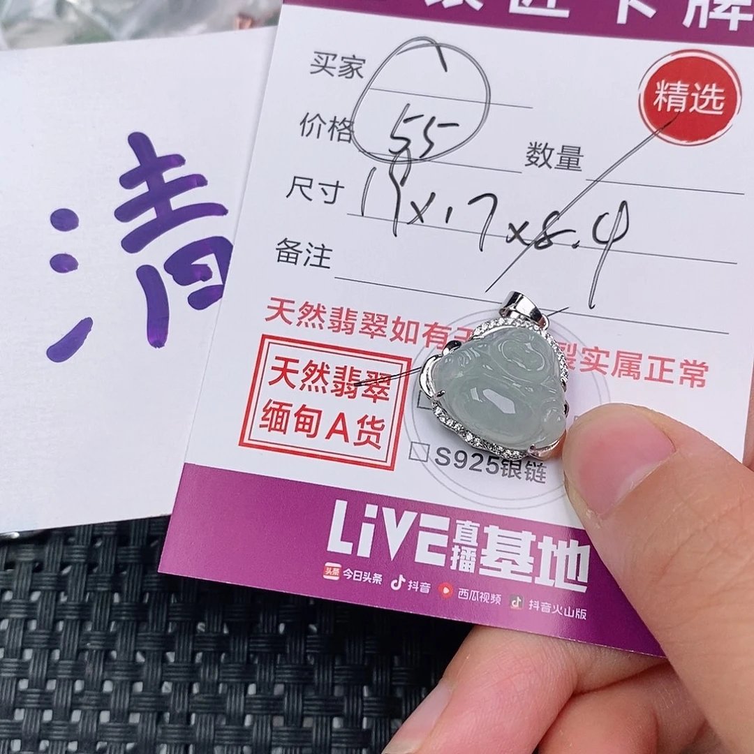 翡翠银S925镶嵌颈饰