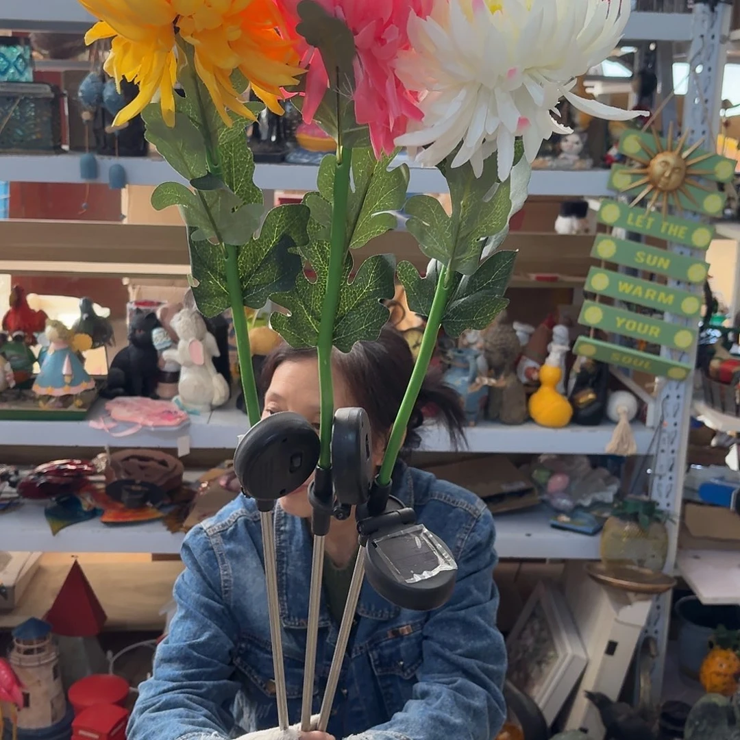 核桃木/黑胡桃（胡桃木）