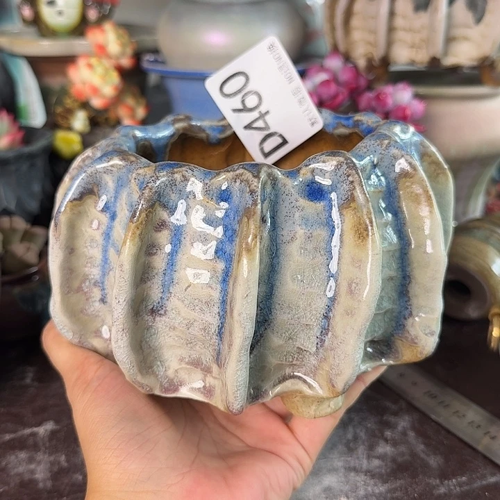 重庆小燕子欢迎大家460