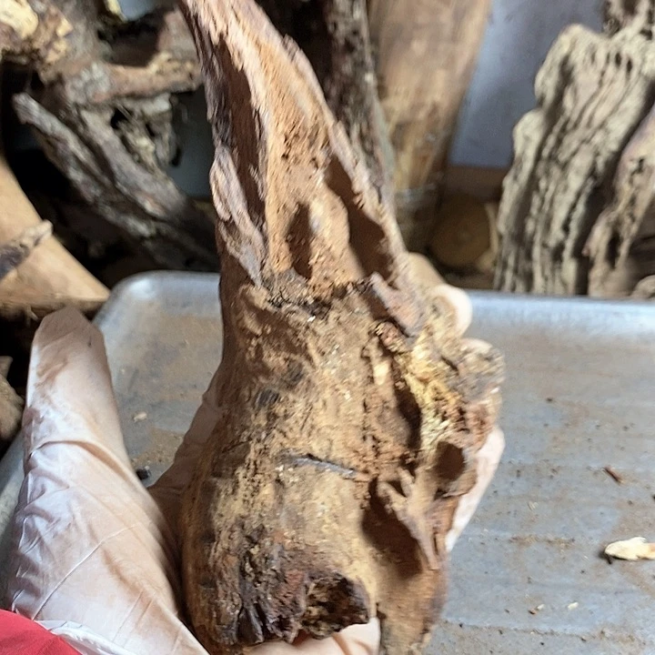 花梨木类畅*海南黄花料梨