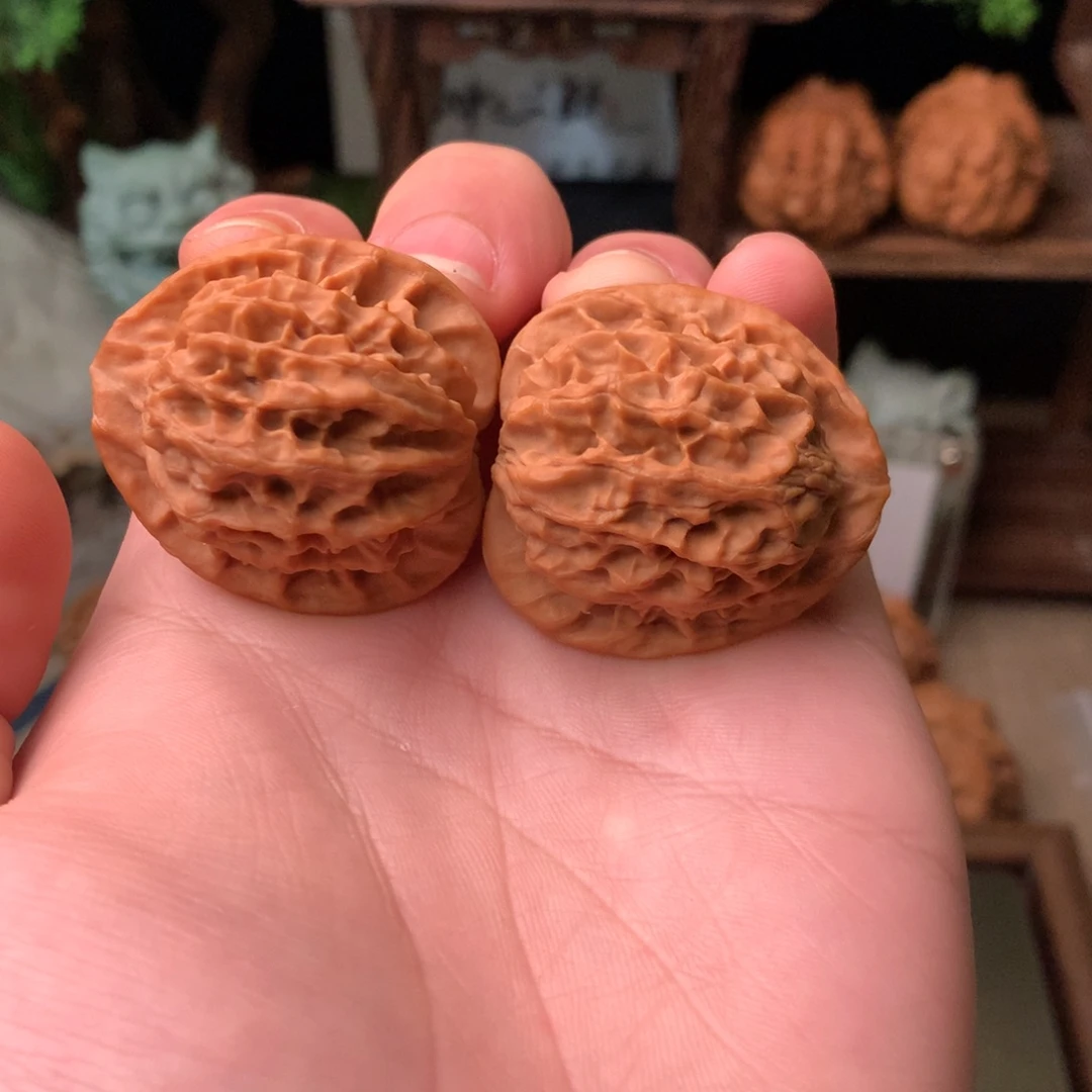 文玩核桃把件36尺寸秦公子