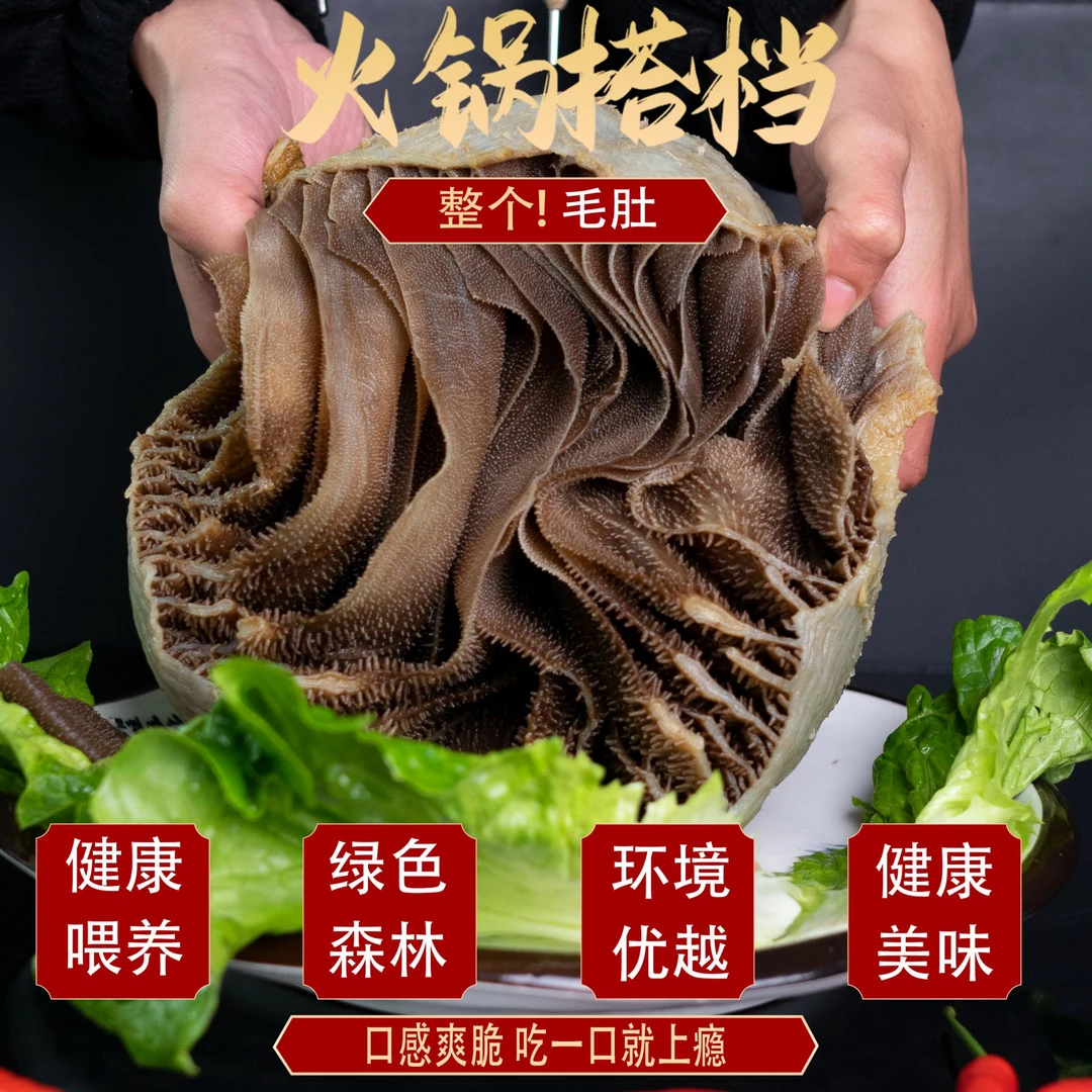 整个黑毛肚牛百叶 现称现发 固形物含量60%以上